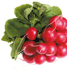 nr 12392 1,8 kg/påse, kylvara Lev.art.nr.