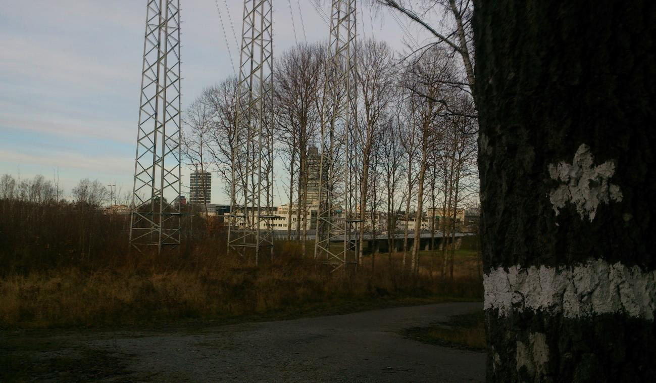 Institutionen för naturgeografi Bostadsrätt, gräsmark eller skog?
