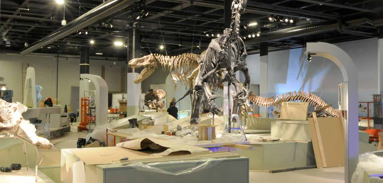PLANERA FUNDERA BYGGA Äntligen är vår nya utställning Fossil och evolution klar.