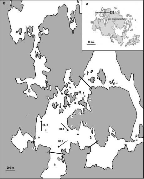 3 Figur 1. Engrundsfjärden. Undersökningsområdet är avgränsat med streck. Provfiske- och hydrografistationerna (St.