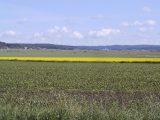 ATT BYGGA PÅ LANDSBYGDEN I VARBERGS KOMMUN Att bygga på landet innebär många fördelar med bland annat närhet till naturen och den frihet detta innebär.