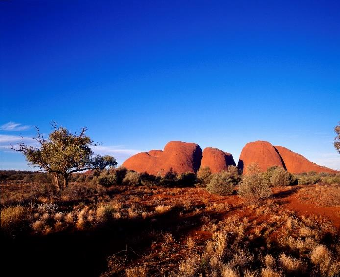 Klassiska Australien & Nya Zealand - 24 dagar Upplev natur och kultur i två spännande länder Populär klassiker! Vår mest populära rundresa, en klassiker som snabbt blir fullbokad.