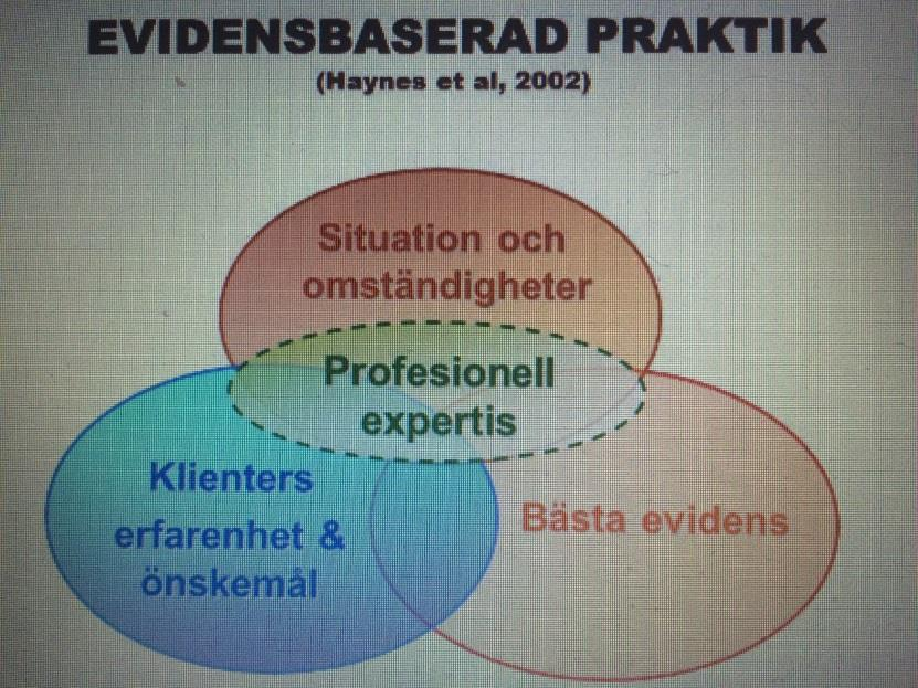 Vetenskaplig evidens