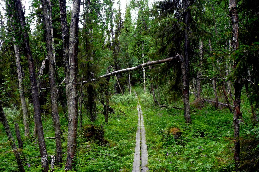 47 (62) Miljö Mineralnäringens framtid är beroende av god utveckling inom miljö- och energiområdet. Sverige har att följa flera direktiv för miljön.