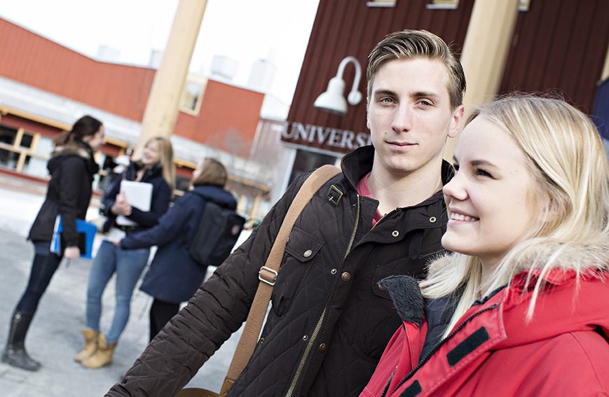 51 (62) Forskning och innovation (FoI) Inom regionen finns starka forskningsmiljöer, inte minst vid länens universitet.