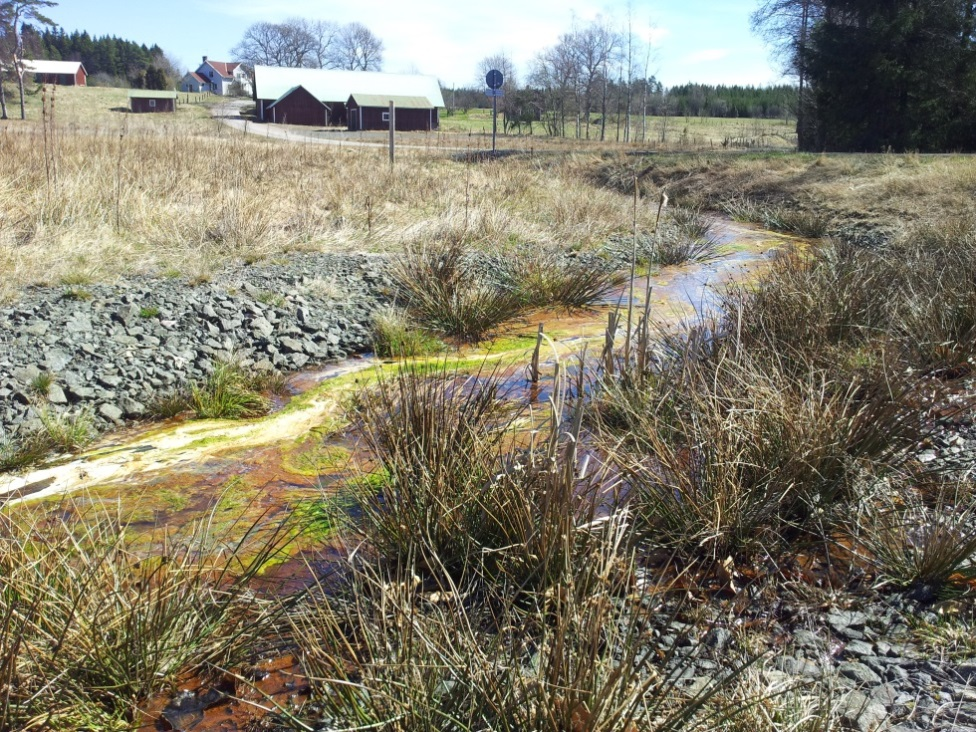 Dike som avvattnar ett förorenat område. Foto: Länsstyrelsen. miljön. Vissa har redan idag oacceptabla effekter på miljön, men framförallt är de ett stort framtida hot mot hälsa och miljö.