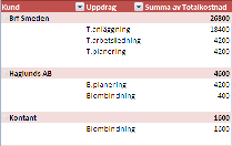 Som standard visas pivottabellen i kompakt format, men vill du ha med fältrubrikerna kan du välja att visa den som en disposition