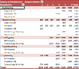 Visa och dölja fält Viktigt! Du kan bara dölja detaljer om det finns minst två rad-/ kolumnfält i pivottabellen.