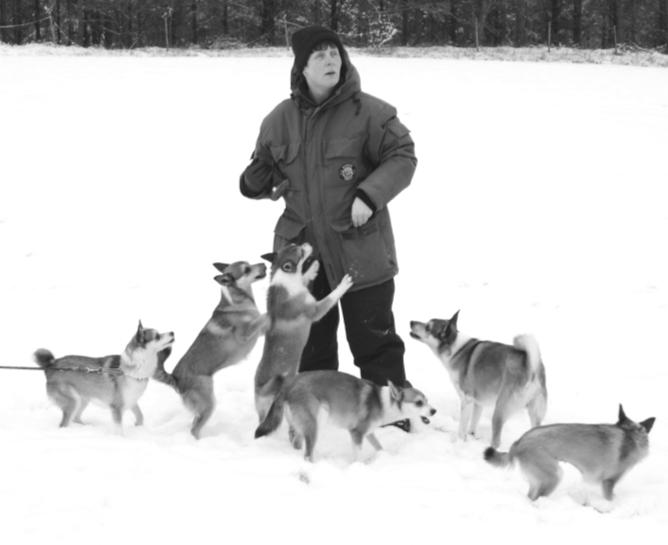 Smålandsträffen 19 januari 2013 På träffen i höstas bestämt vi att göra om detta och så blev det den 19 januari.