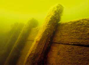 Fig. 10. Id 9. Pråmrötterna med deras grovt respektive plant bilade sidor. Den plana sidan ligger mot bordläggningen. Foto: Jim Hansson, Sjöhistoriska museet.