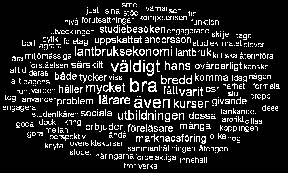 utbildning?
