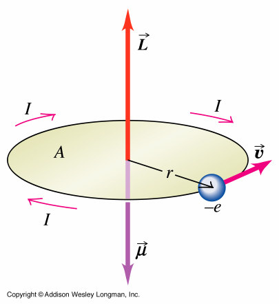 I en del atomer bidrager en av atomens elektroner till atomens magnetiska moment genom elektronens banrörelse p = q a där q är laddningen och a