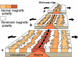 Magnetisk datering Mätningar av den magnetiska polarisationsriktningen i avlagringar (stelnad magma) på havsbotten vid