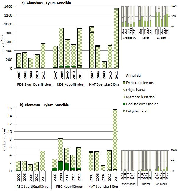 3.2.1 Abundans och biomassa per taxon inom respektive fylum Figur 6. a) Individtäthet per m 2 och b) Biomassa per m 2. Fylum Annelida utgörs i undersökningen av 5 taxa.
