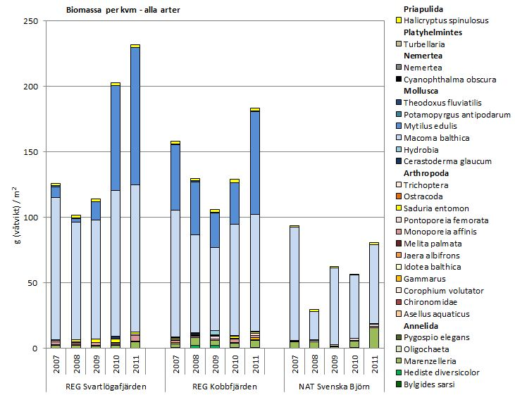 Figur C. Biomassa per taxa. Svartlögafjärden visar på en ökad biomassa från 2008 års nedgång. Det är främst blåmusslan Mytilus edulis som har ökat i området (se figur A i bilaga 2).
