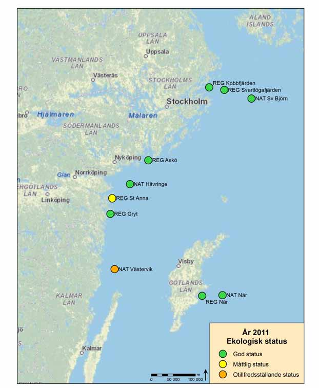 Bilaga 4. Karta ekologisk status i Egentliga Östersjön Figur D. Ekologisk status av bottenfauna i Egentliga Östersjön år 2011.
