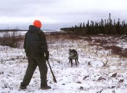 1. Skyddsjakt. JAKTFÖRORDNINGEN, 28, (1987:905.) (Förordning 2009:310) 28 1:a stycket. SKRÄMMA bort. Ej dödande.