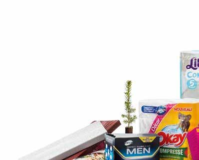 Förvaltningsberättelse Verksamhet och struktur Verksamhet och struktur SCA är ett ledande globalt hygien- och skogsindustriföretag som hållbart utvecklar, tillverkar, marknadsför och säljer