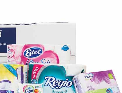 Vice vd och CFO SCA Incontinence Care SCA Consumer Goods SCA AfH Professional Hygiene SCA Latin America SCA Forest Products Global Hygiene Category (GHC) Global Hygiene Supply Tissue (GHS Tissue)