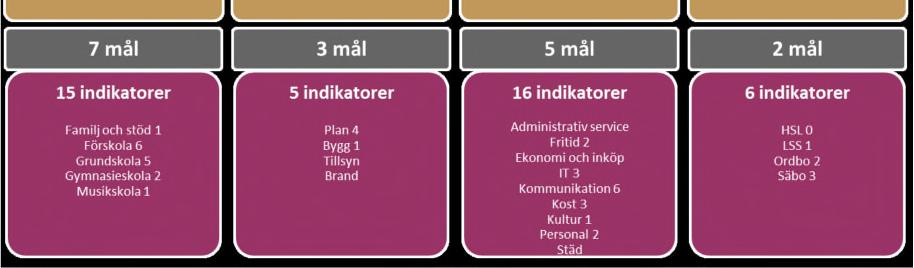 styrdokumentet för verksamheterna.