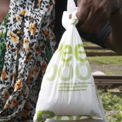 biodegradable single use toilet
