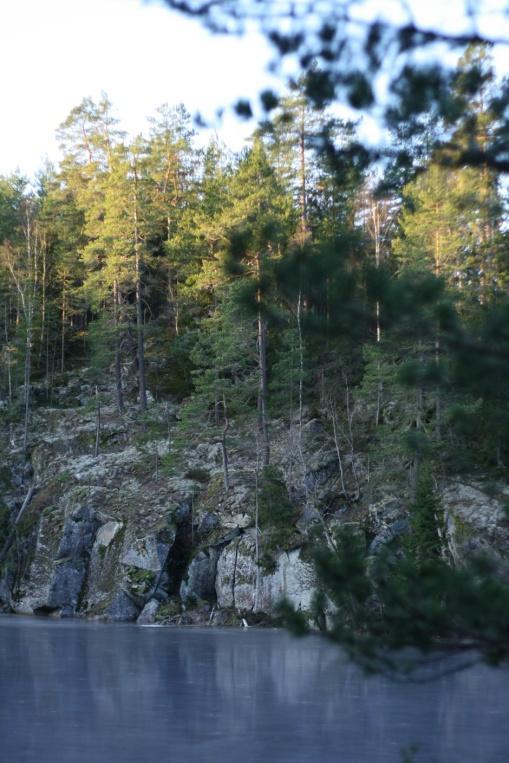 Dag 4 Fagertärn och Bellmanmuseum Vid Fagertärn möter du den lilla mörka skogssjön där de röda näckrosorna ursprungligen framvuxit och