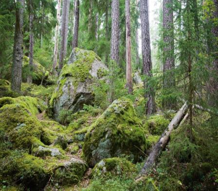 Den 3 km långa naturstigen slingrar sig över klippor och isslipade hällar, då den leder dig längs Vätterns strand och erbjuder badmöjligheter samt rast- och grillplatser i ljuvliga lägen.