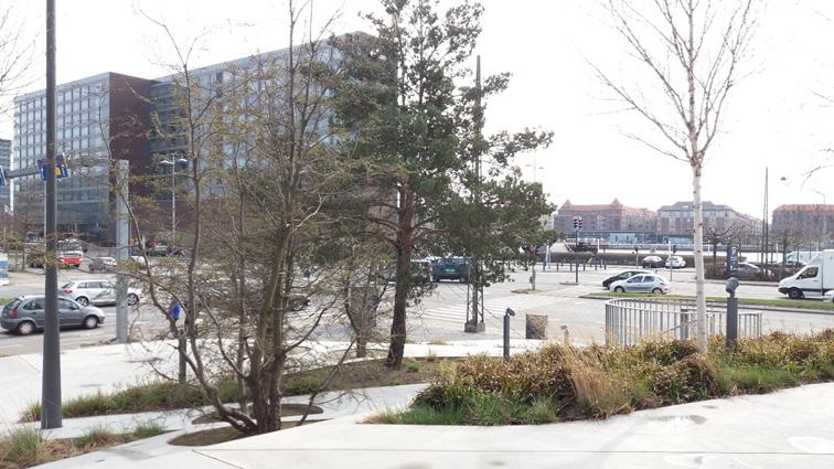 Platsen upplevdes som hård, med mörka fasader och hårda Figur 5. Sektion över SEB s terasspark. Ej skalenlig. markmaterial. Gräset under trädplanteringarna gav däremot platsen en mjukare känsla.
