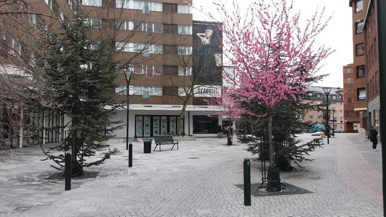 4.1.3 Plats 3. Passage utanför köpcentret Caroli, Malmö. Sammanhang/Enhet (2) Träden på den här platsen fungerade vägvisande.