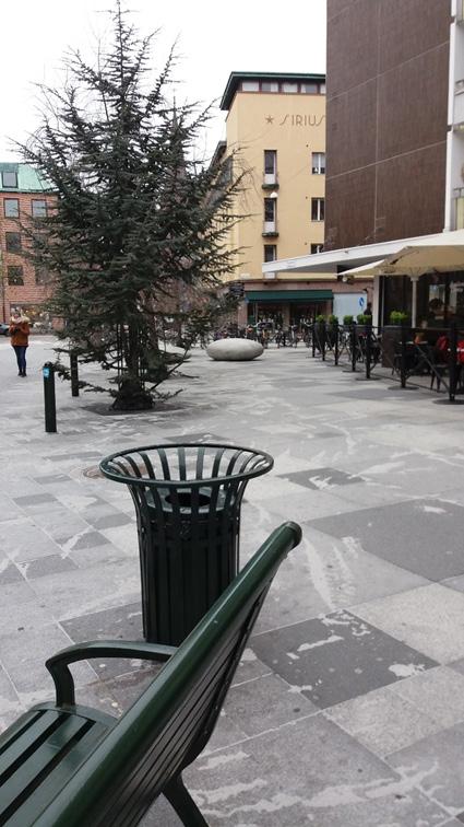 nästan blev obefintliga och att bara de horisontella lagren var tydliga på platsen. Däremot upplevdes cedrarnas speciella växtsätt nästan som ett buskskikt då deras grenar kom ner till marknivå.