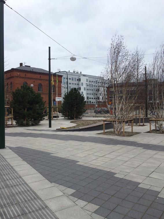 4.1.4 Plats 4. Plantering vid entrén till Malmö Live, Malmö. Figur 15. Sektion över planteringen vid Malmö Live. Ej skalenlig.