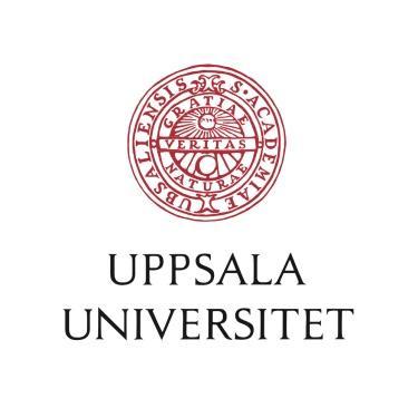Uppsala universitet Företagsekonomiska institutionen Kandidatuppsats 15 hp Vårterminen 2012 2012-06-01 Motivation pa
