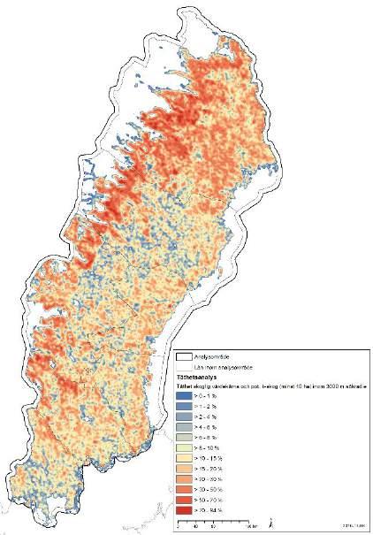 3.2.1 Täthetsanalys av skogliga värdekärnor och kontinuitetsskogar Karteringen av kontinuitetsskogar är ett viktigt underlag som har potential att komplettera kända indata över skogliga värdekärnor.