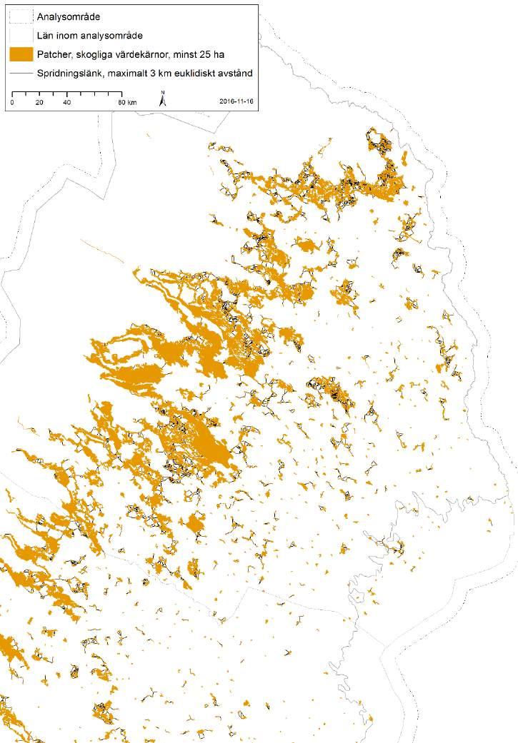 I analysområdets norra del syns ett flertal väldigt stora skogliga värdekärnor vilka är belägna ovanför gränsen för fjällnära skog som är sammanlänkande med varandra (figur 19).