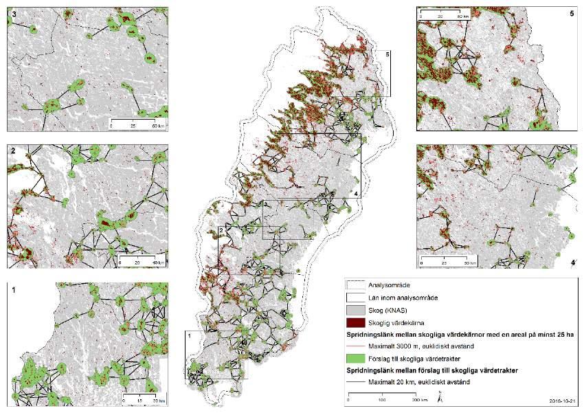 Analyserna och underlagen i det här projektet visar att det finns en del bristområden med avseende på skogliga värdekärnor i den boreala regionen, nedan visualiseras ett par exempel (figur 33).