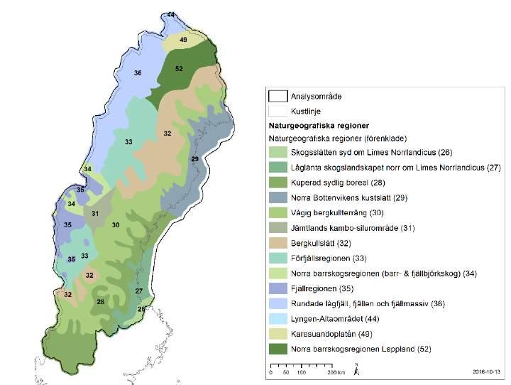 Figur 38. Förenkling av indelningen för naturgeografiska regioner i den boreala regionen.