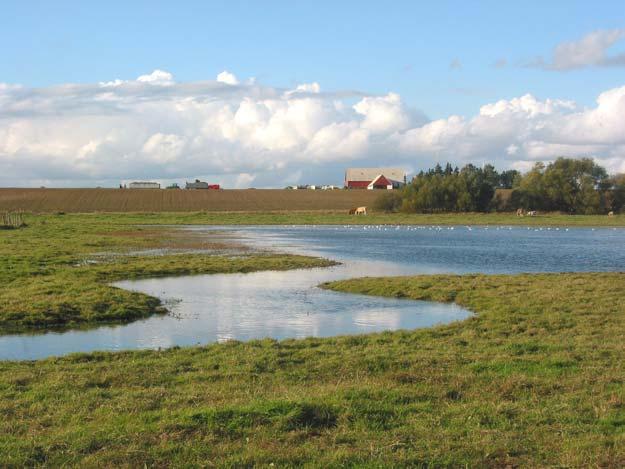 Ekologgruppen på uppdrag av