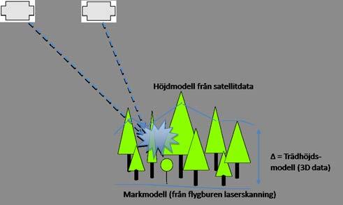 Figur 2. Trädhöjden skattas med hjälp av satellitdata och en markmodell. skanning för en nationell höjdmodell, har tillgängligheten av tredimensionella (3D) data ökat drastiskt.