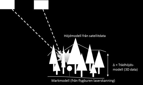 3D-modellerna kan sedan, tillsammans med fältmätta referensytor, användas för skogliga skattningar av t.ex. trädhöjd, virkesförråd och biomassa.