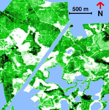 medeldiameter samt trädens medelhöjd skattats. Som referensdata används provytor från Riksskogstaxeringen precis som för satellitbildsprodukten SLU Skogskarta.