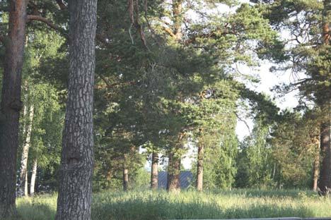 som vinteförvaringsplats för båtar. Stranden söder om bron till Smulterö fungerar som båthamn. På norra sidan av bron finns en fin lekplats och spelplan kantad med en fin granitstenmur.