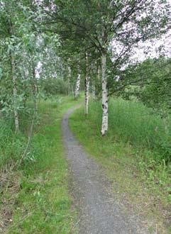 Gångväg/stig Gångstig utgår från informationsplatsen vid parkeringen och fortsätter in i naturreservatet och löper