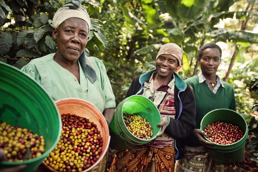 Fairtrade och Agenda 2030 17 globala mål för hållbar utveckling Utrota den extrema