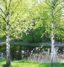 och morgontidningen läser Kjell
