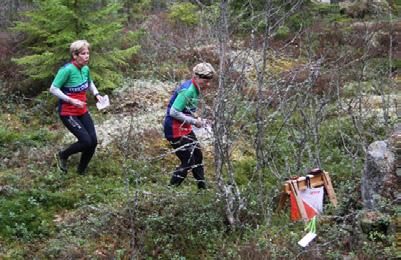 om terrängen. Men alla vet väl vad grönt på kartan betyder.
