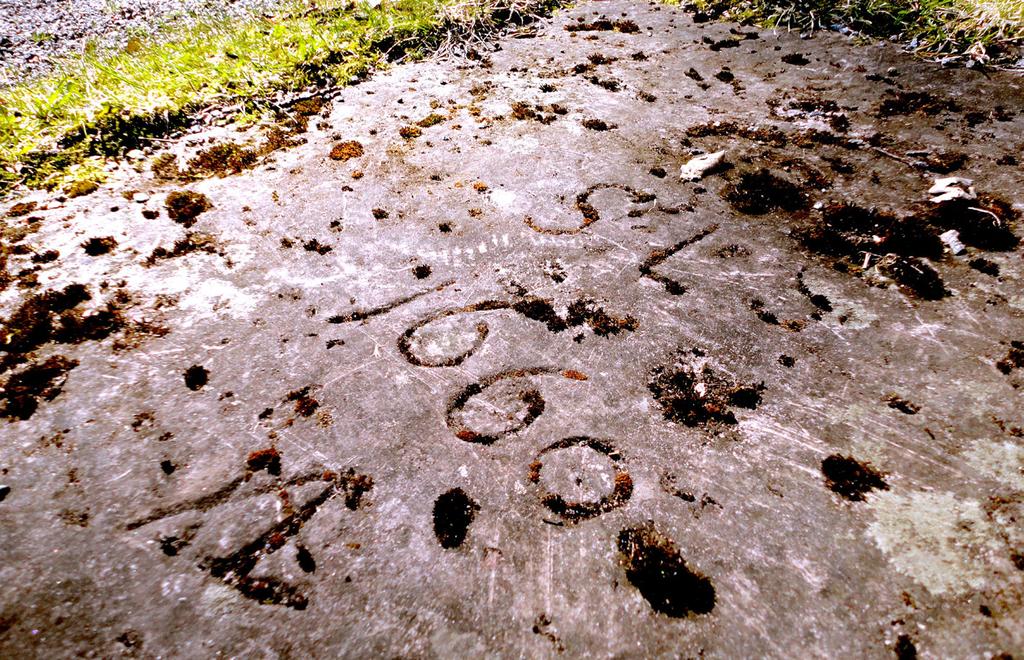 Eventuellt är några av dessa gravlagda under den märkliga gravhäll som återfinns på Torö lotskyrkogård (figur 4) (Öberg & Landin 2006:44). Figur 3.