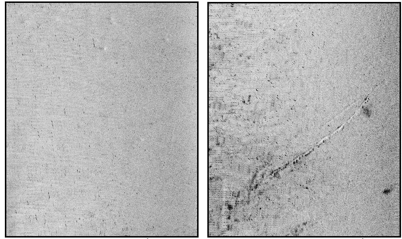 3.3.5 Bottenspår Data från Side scan sonaren har använts till att utvärdera mängden av