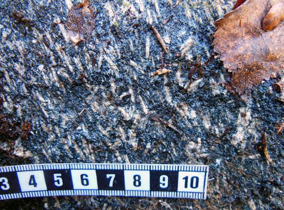 Grå granodiorit till tonalit med gnejsig till migmatitisk struktur finns vid Kallakluokta, centralt i de norra delarna av kartområdet 27J Porjus NV.