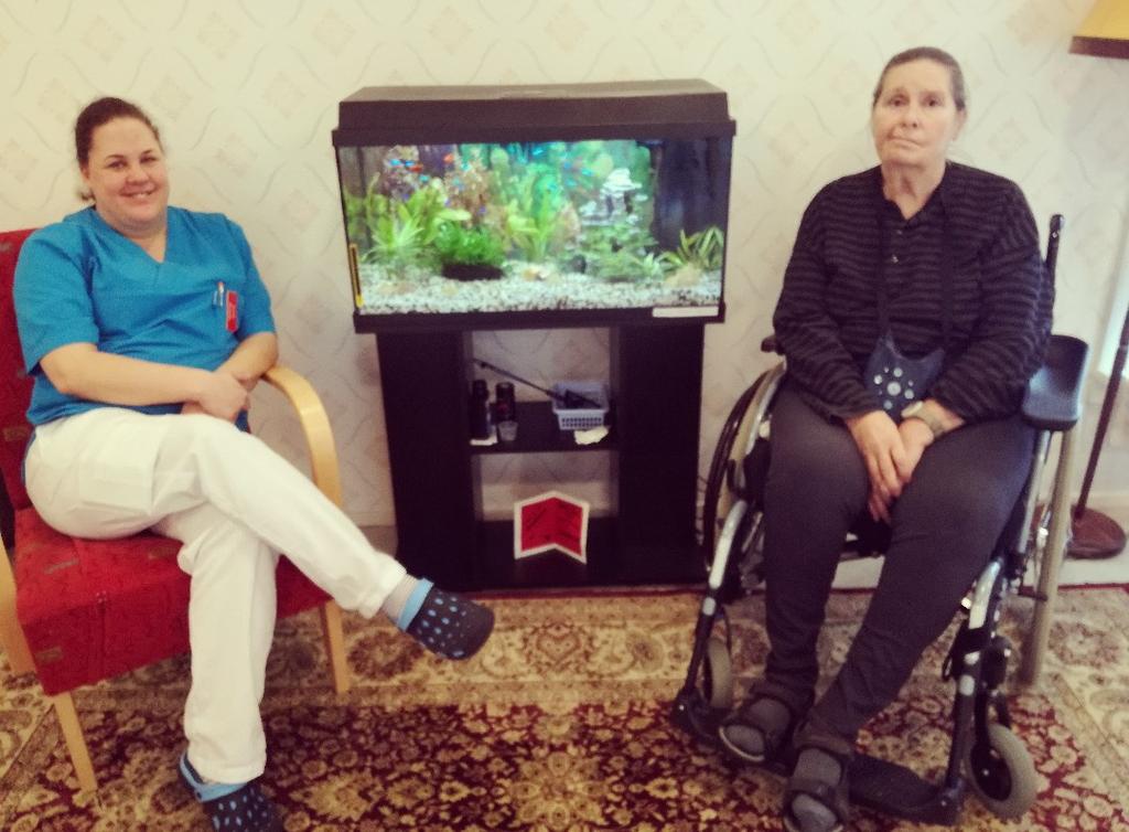 fantastiska akvarium som vi fick i julgåva julen 2016!