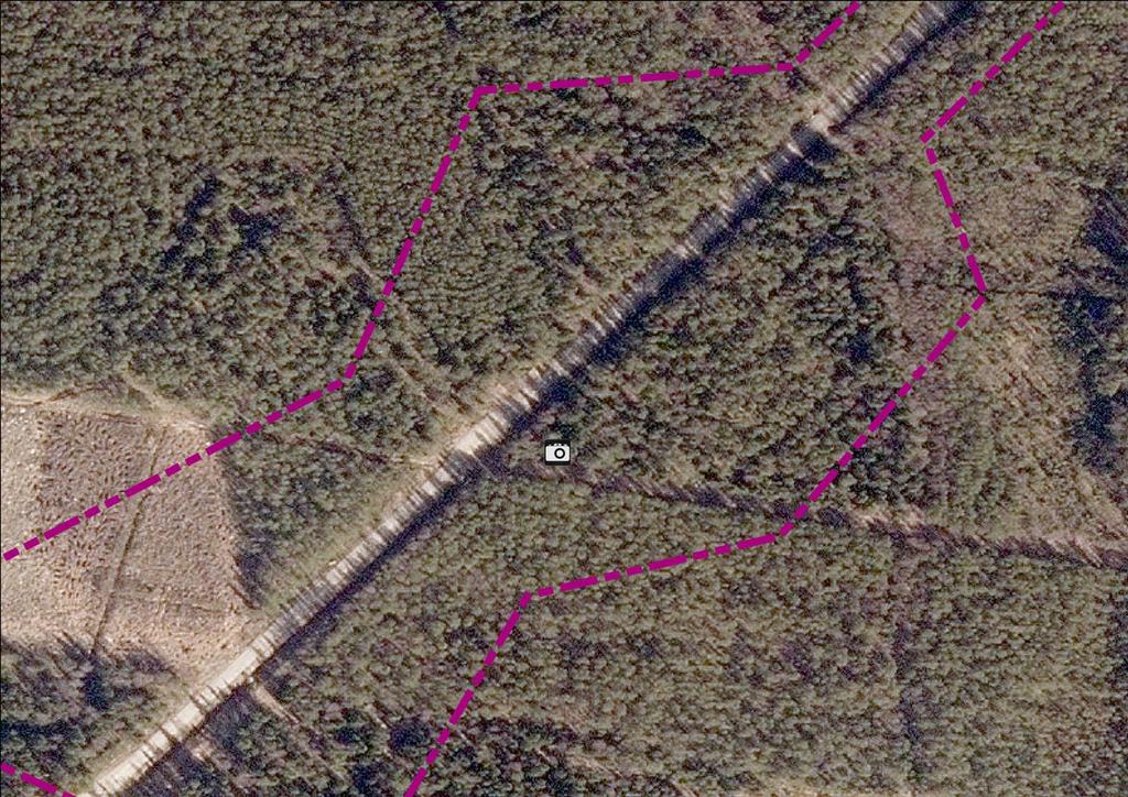 På ca 100 meters avstånd mot sydväst sänker sig terrängen svagt mot väst.